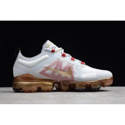 Nike Erkek Air Vapormax Platini / Metal Koşu Ayakkabısı Türkiye - VWBWL575